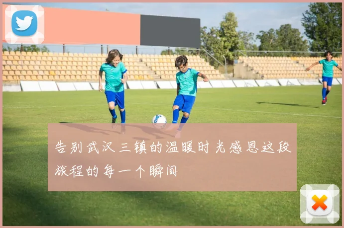 告别武汉三镇的温暖时光感恩这段旅程的每一个瞬间